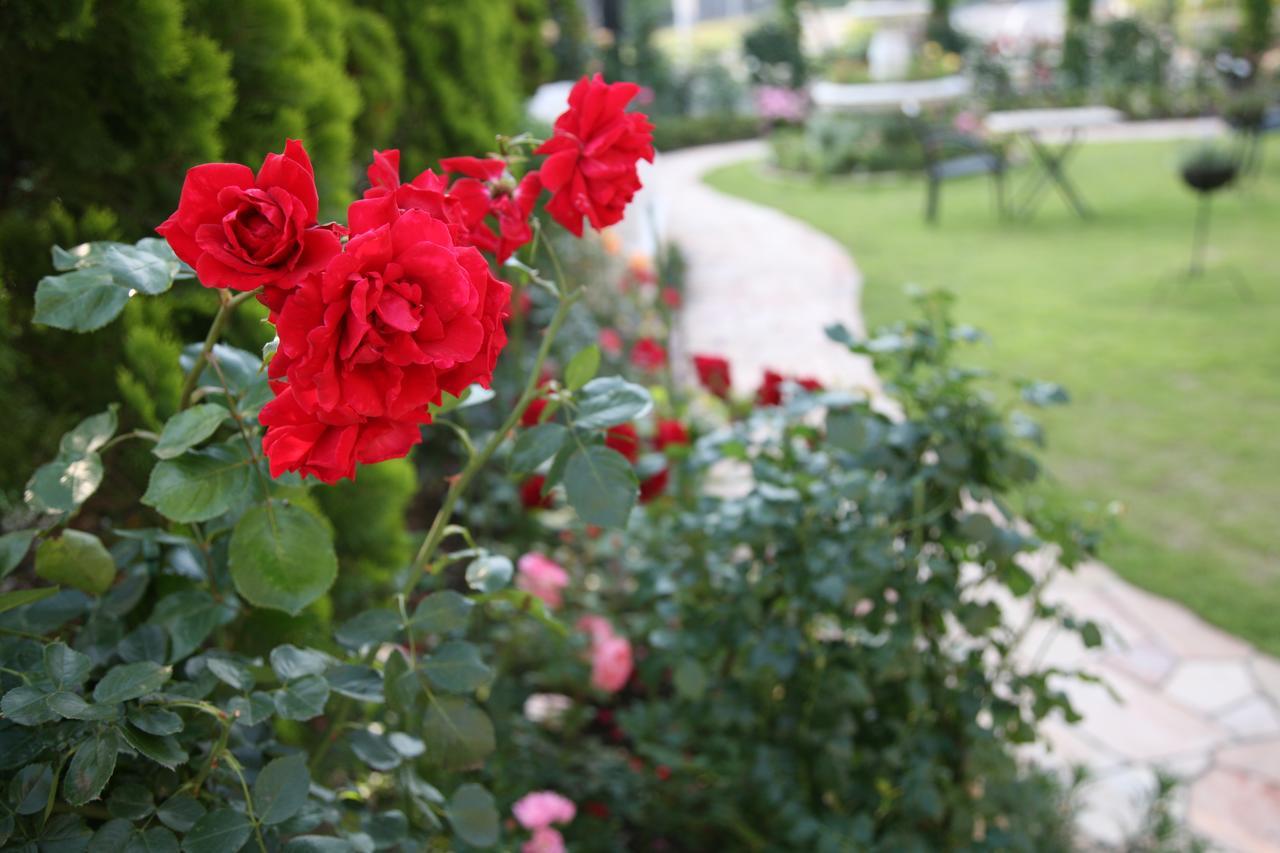 Hotel Sunlife Garden Hiratsuka Εξωτερικό φωτογραφία