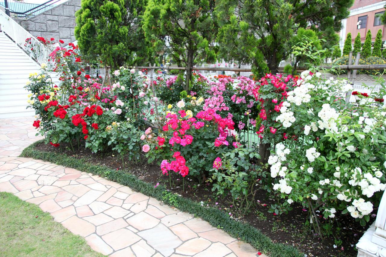 Hotel Sunlife Garden Hiratsuka Εξωτερικό φωτογραφία